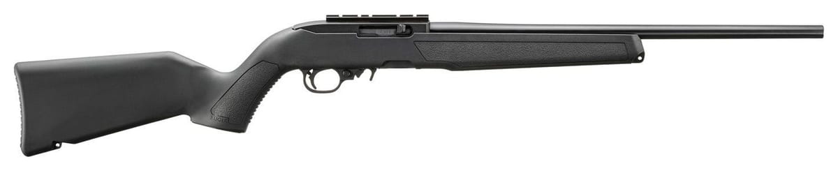 Ruger 10/22 .22 LR rifle