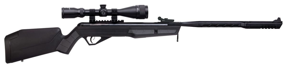 Benjamin Vaporizer SBD (.22) air rifle for squirrel hunting