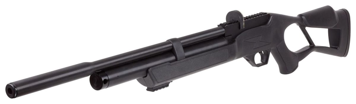 Hatsan Flash QE (.22) air rifle for squirrel hunting