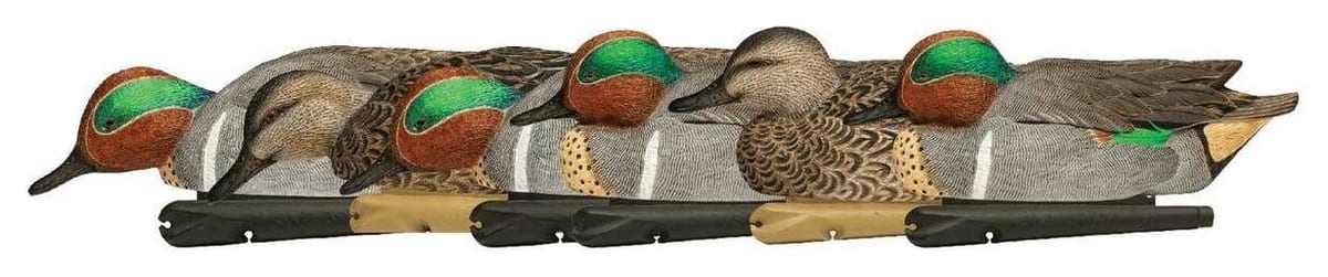 Avian-X Topflight Green-Winged Teal (6-pack) at Sportsman's Warehouse