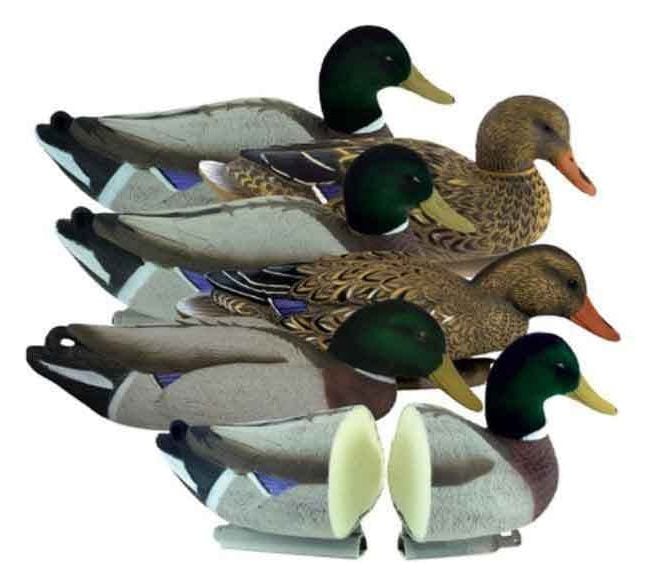 Higdon Magnum Mallard Foam-Filled Flocked Heads (6-pack) at Sportsman's Warehouse