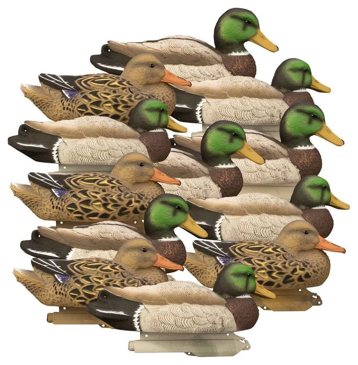 Higdon Standard Mallard Decoys (12-pack) at Sportsman's Warehouse