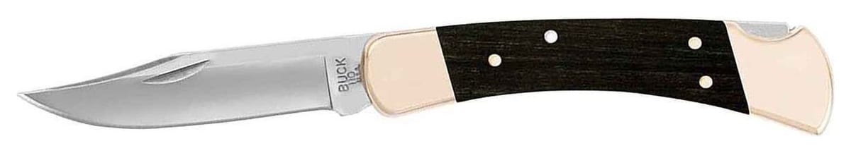 Buck 110 Folding Hunter folding hunting knife